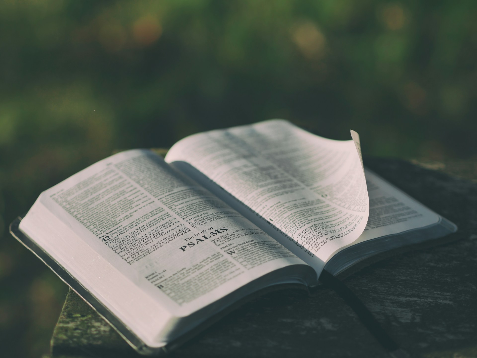 An open Bible on a wooden table